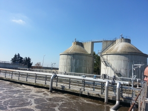 Area Tematica 4. Recupero di risorse ed energia dal trattamento di reflui, rifiuti, biomasse